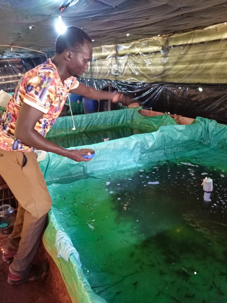 fish farming business plan in uganda