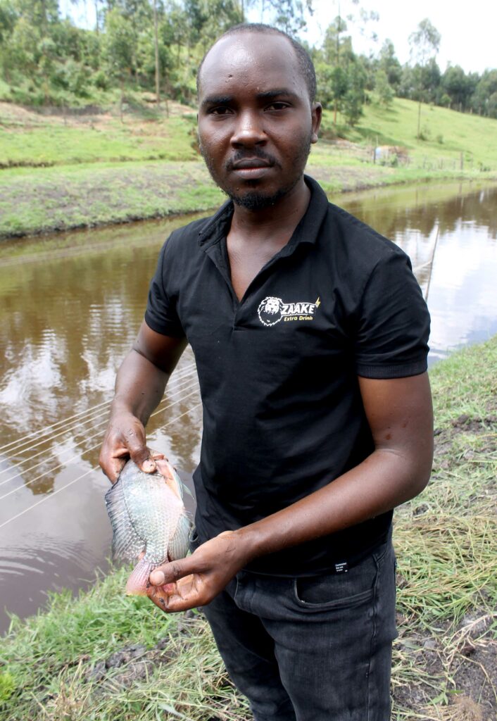 fish farming business plan in uganda